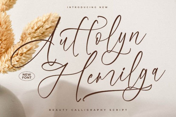 Auttolyn Hemilga: A Modern Handwritten Font for Digital Branding