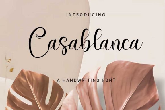 Casablanca: A Modern Script Font for Digital Branding
