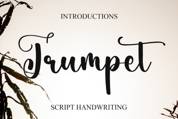 Trumpet: A Dainty Script Font That Earns Its Place